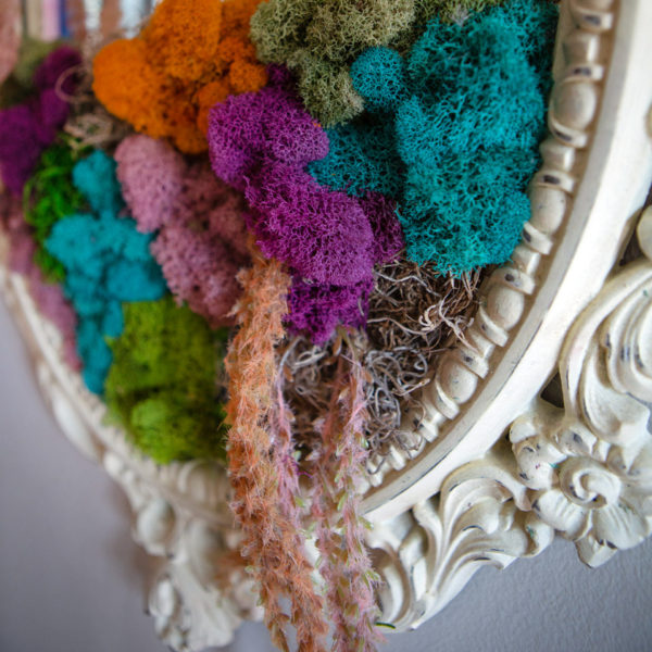 Colorful Preserved Moss on a White Vintage Mirror