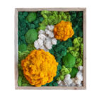 Orange-and-Green-Square-Preserved-Moss-Wall-Art-in-a-Wooden-Frame