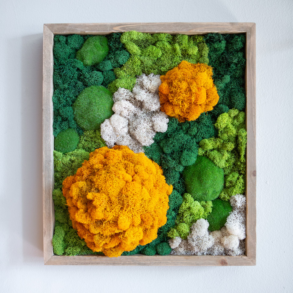 Orange and Green Square Preserved Moss Wall Art in a Wooden Frame