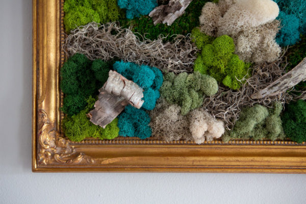 Handcrafted Blue and Green Custom Moss Wall Art with Natural Birch in a Gold Antique Picture Frame Detail
