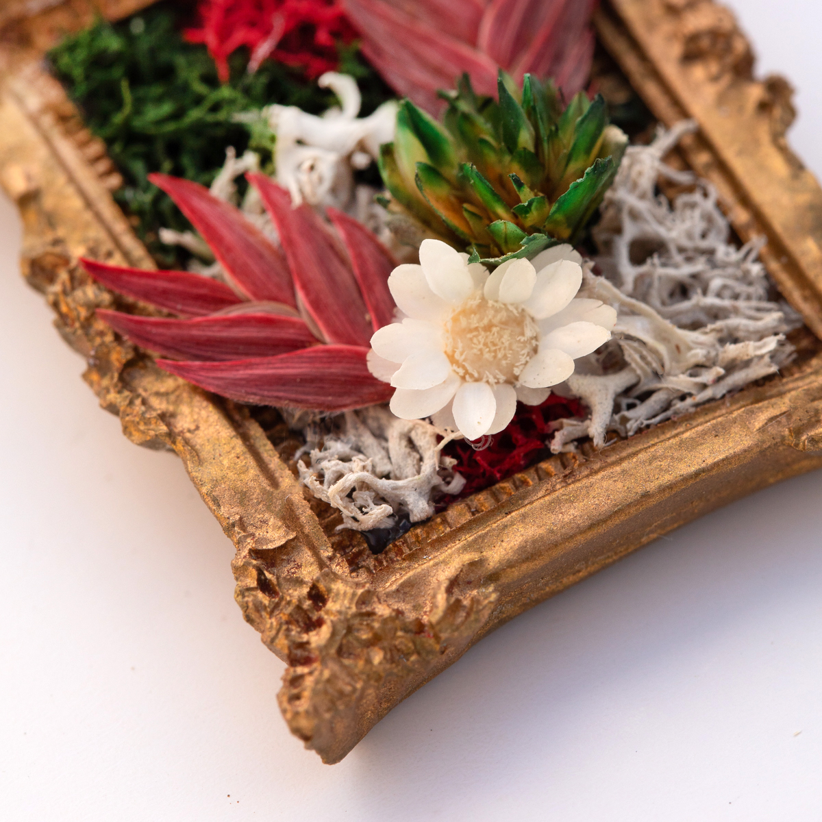 handcrafted mini moss wall art detail