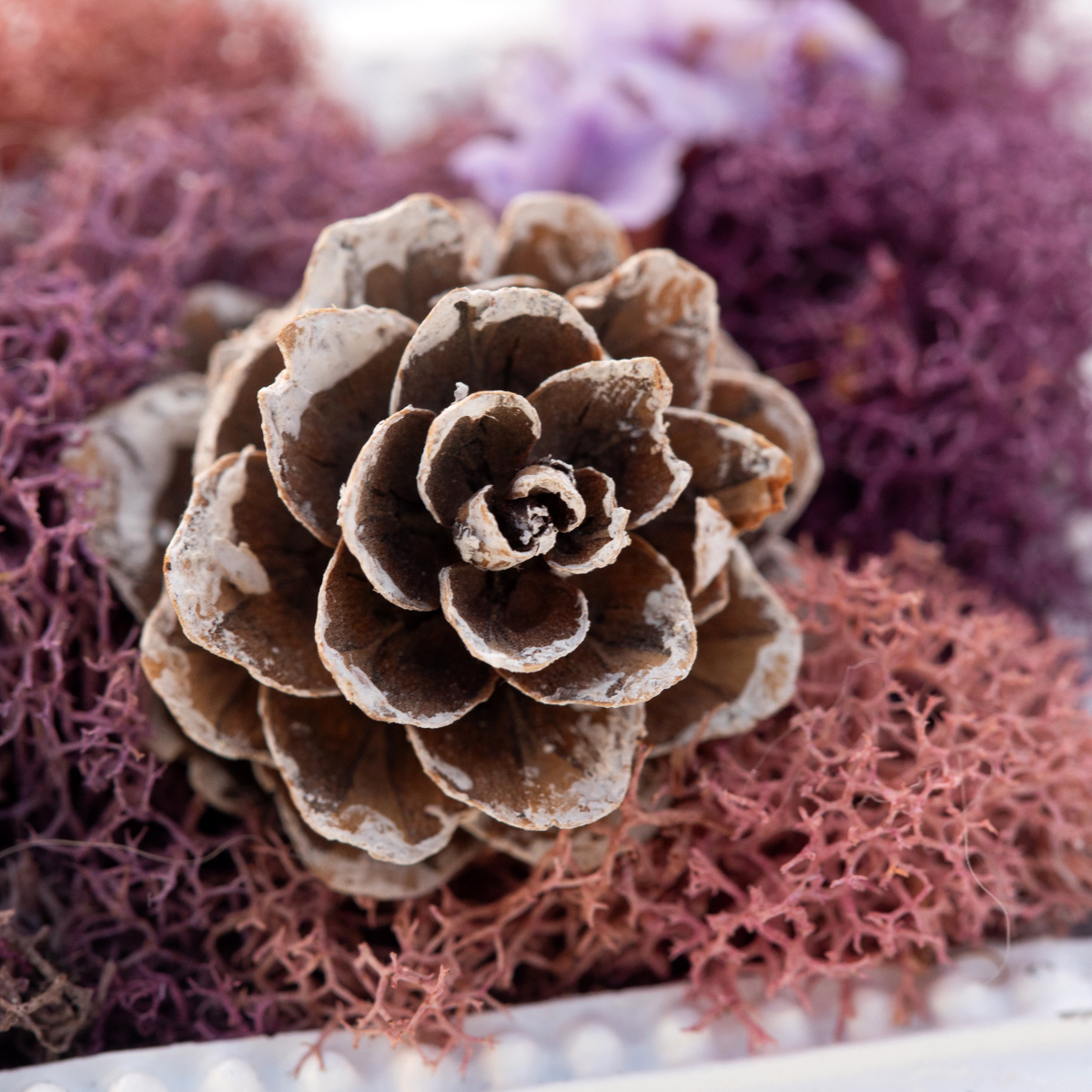 handcrafted mini moss wall art detail