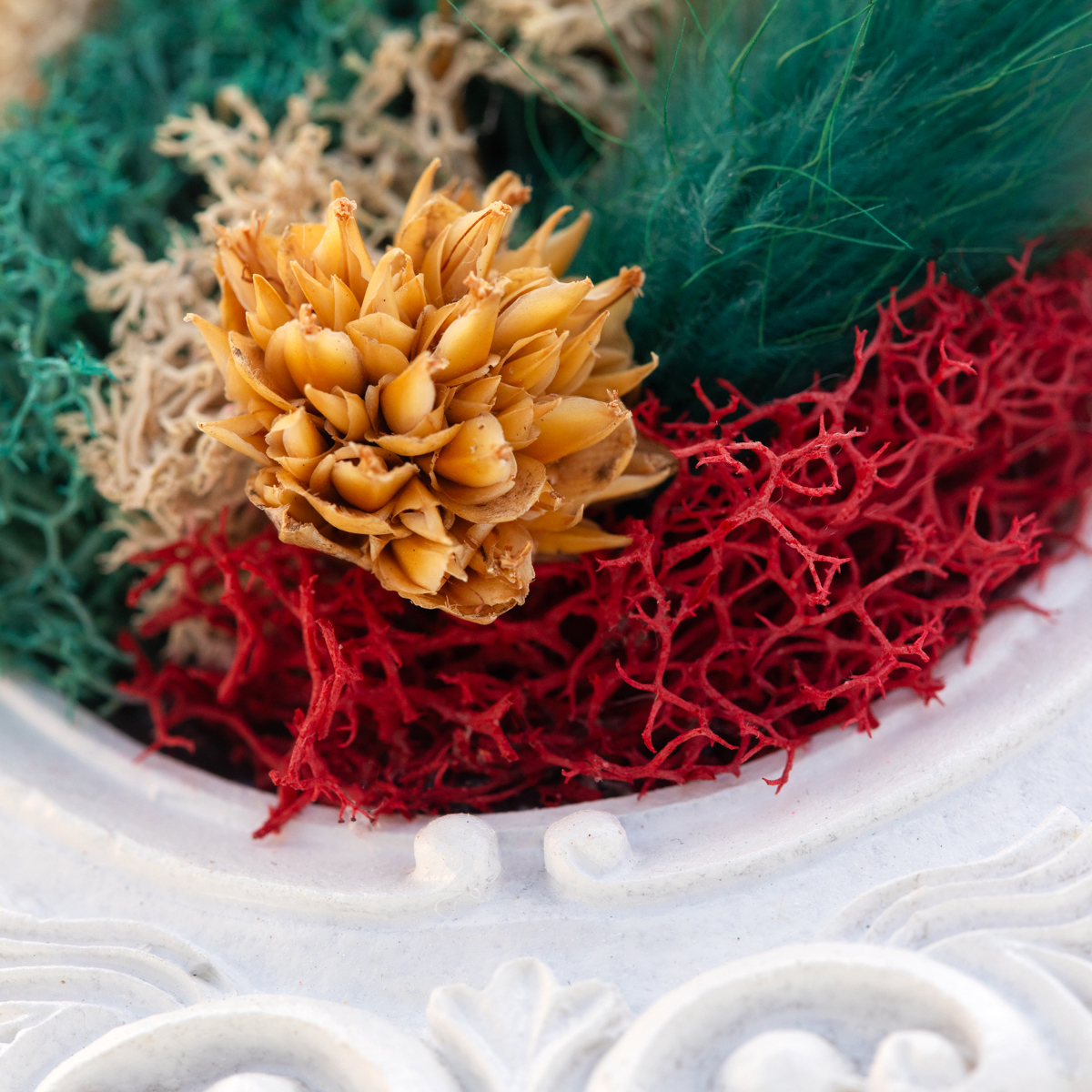 handcrafted mini moss wall art detail