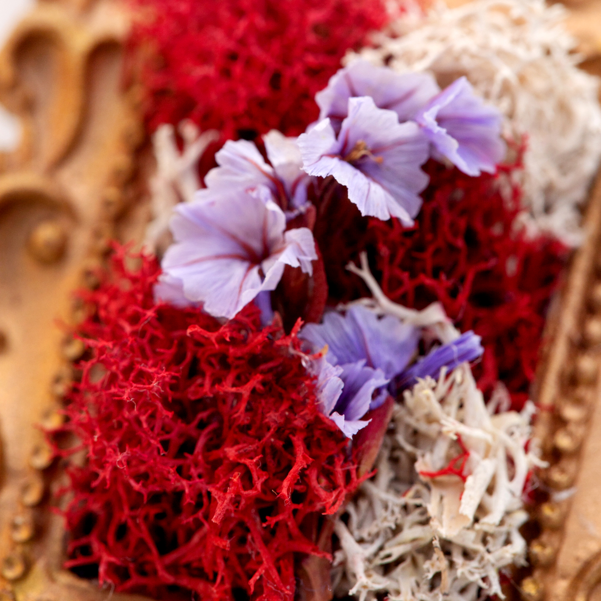 handcrafted mini moss wall art detail