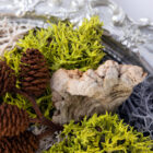 handcrafted mini moss wall art detail