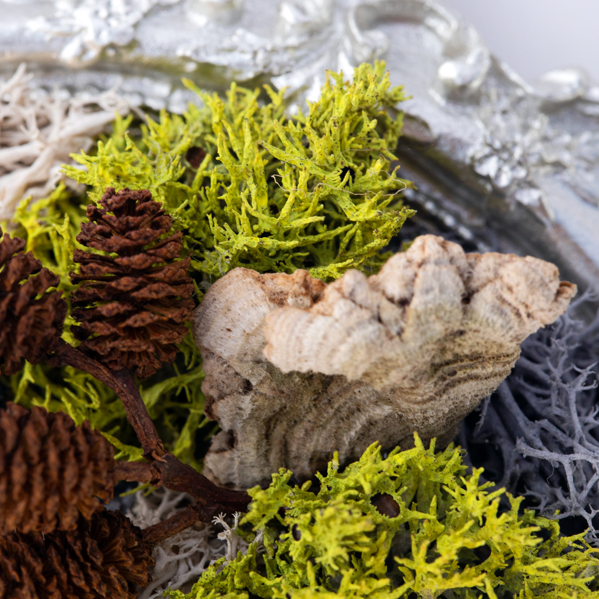 handcrafted mini moss wall art detail