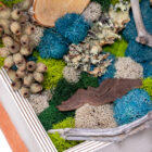 Hidden Grove Book Box Custom handcrafted Moss Wall Art