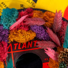 Moonlit Meadow Vinyl Record Custom Moss Wall Art