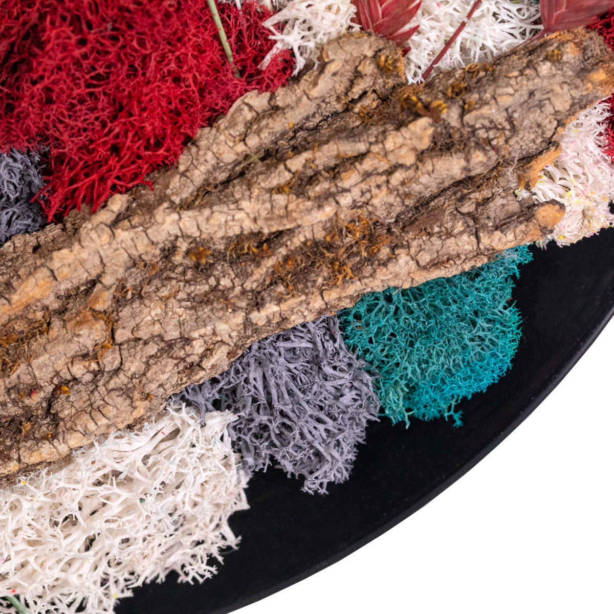 Woodland Revival Vinyl Record Moss Wall