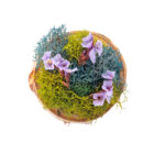 handcrafted mini moss wall art detail