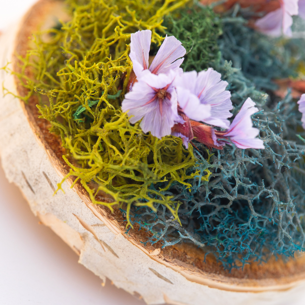 handcrafted mini moss wall art detail
