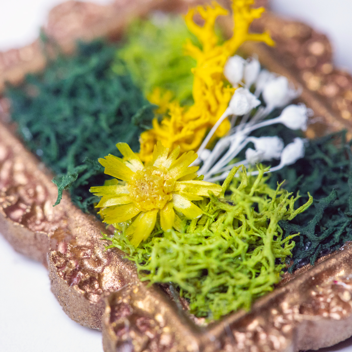 Verdant Heirloom custom handcrafted mini moss wall art