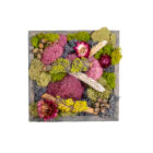 Blushwood Meadow Square Custome handcrafted moss wall art