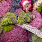 Blushwood Meadow Square Custome handcrafted moss wall art