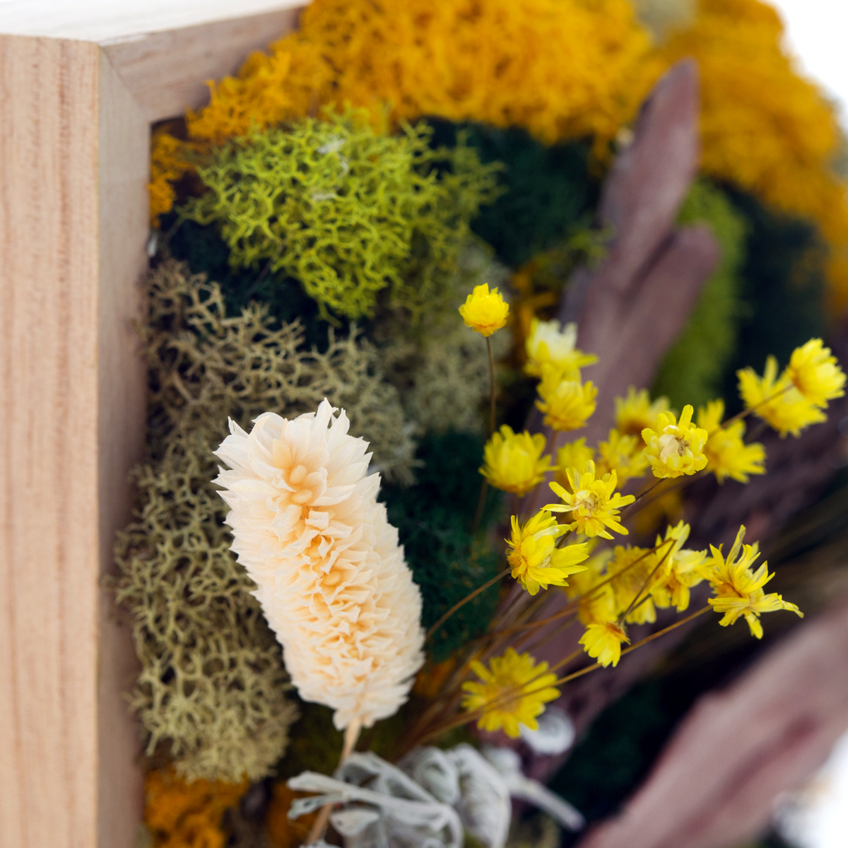 Golden Canyon Custom handcrafted moss wall art