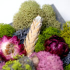 Blushwood Meadow Square Custome handcrafted moss wall art