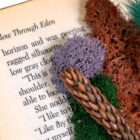 Whispering Grove Storybook Custom handcrafted moss wall art