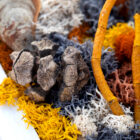 Autumn Tides custom handcrafted moss wall art detail