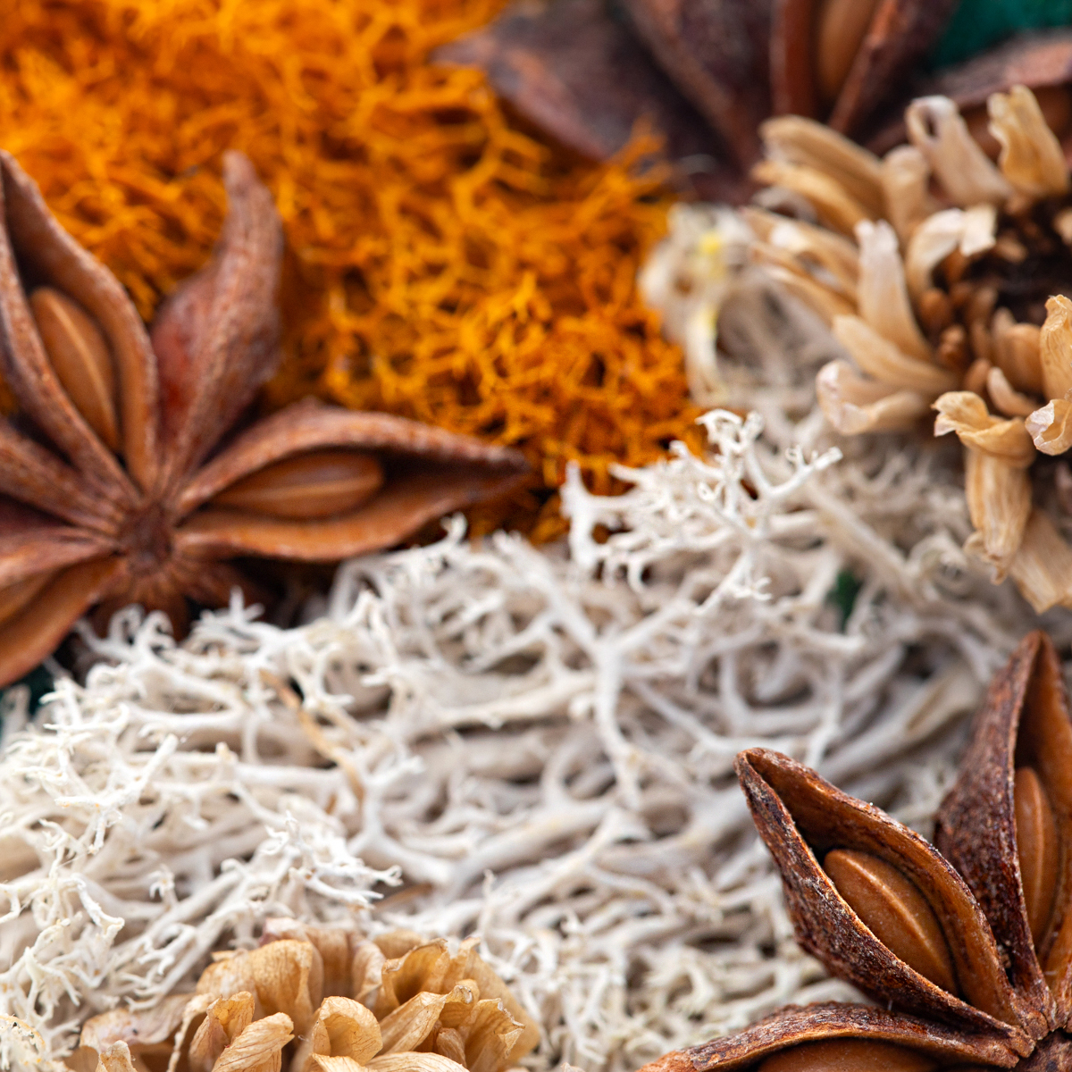 Spice Grove custom handcrafted moss wall art