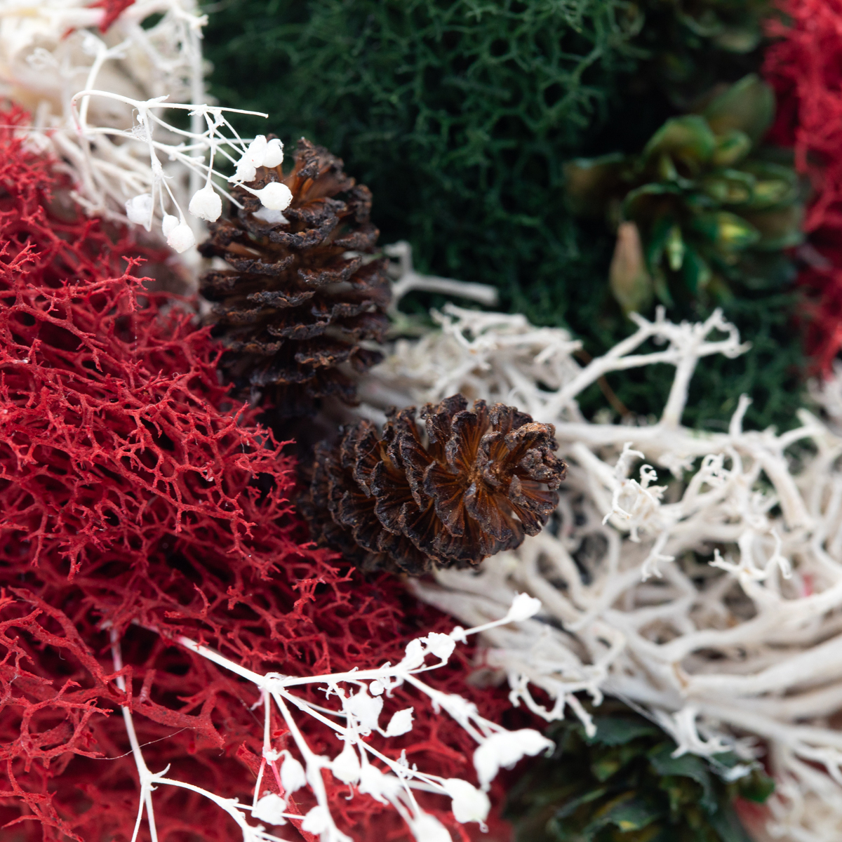 Evergreen Ember custom handcrafted moss wall art