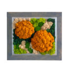 handcrafted modern moss wall art