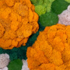 handcrafted modern moss wall art detail