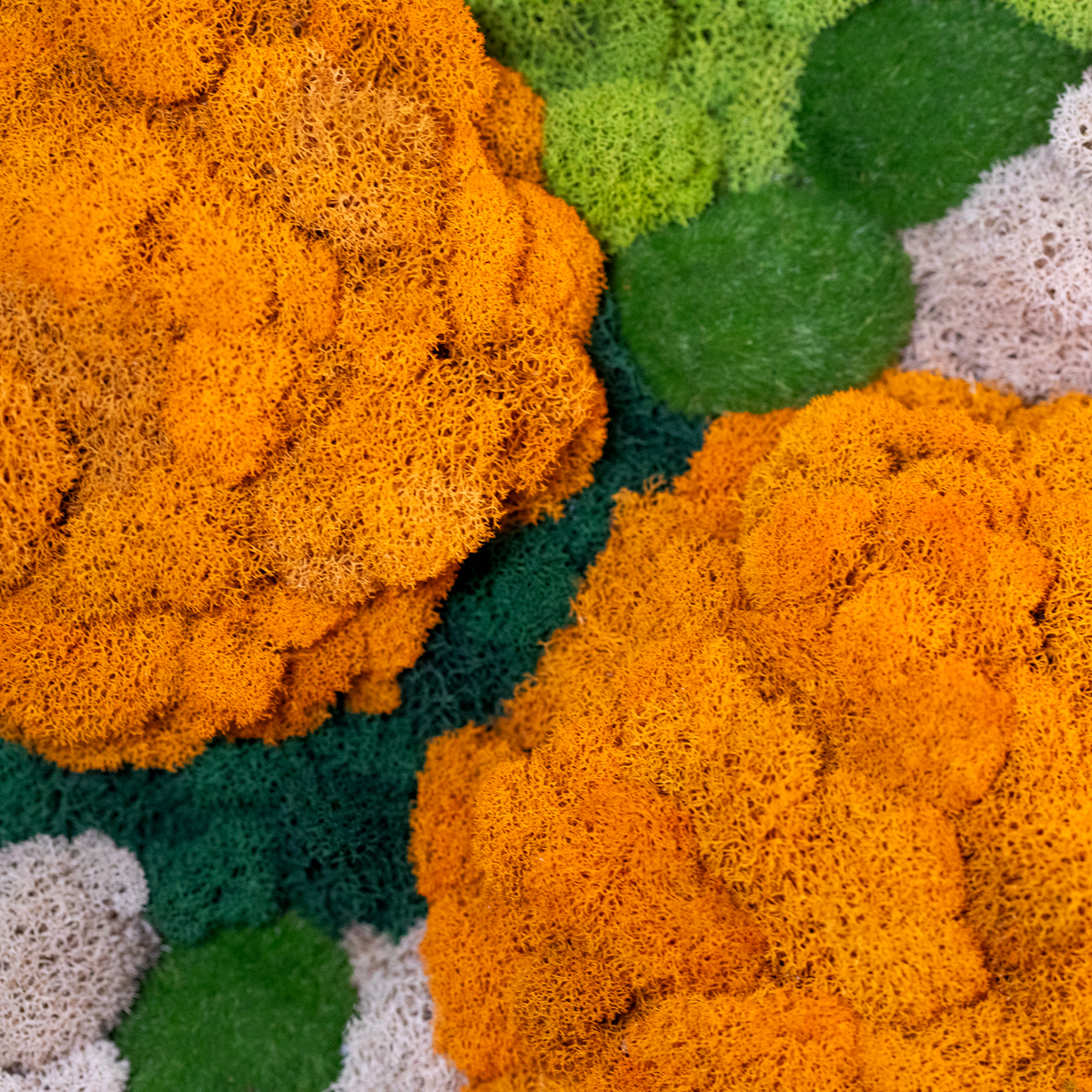 handcrafted modern moss wall art detail